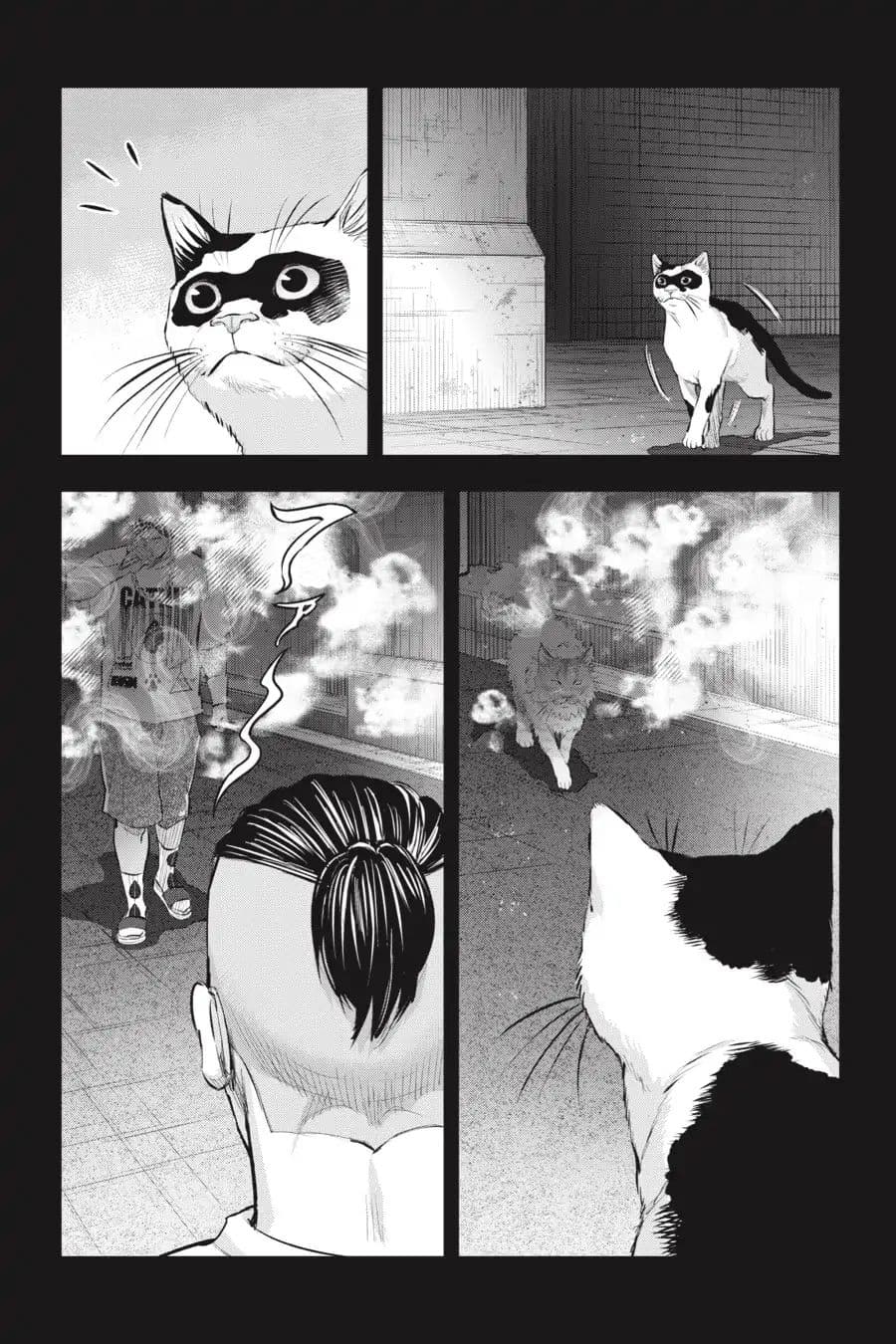 Nyankees 11-แมวน่าสงสัย