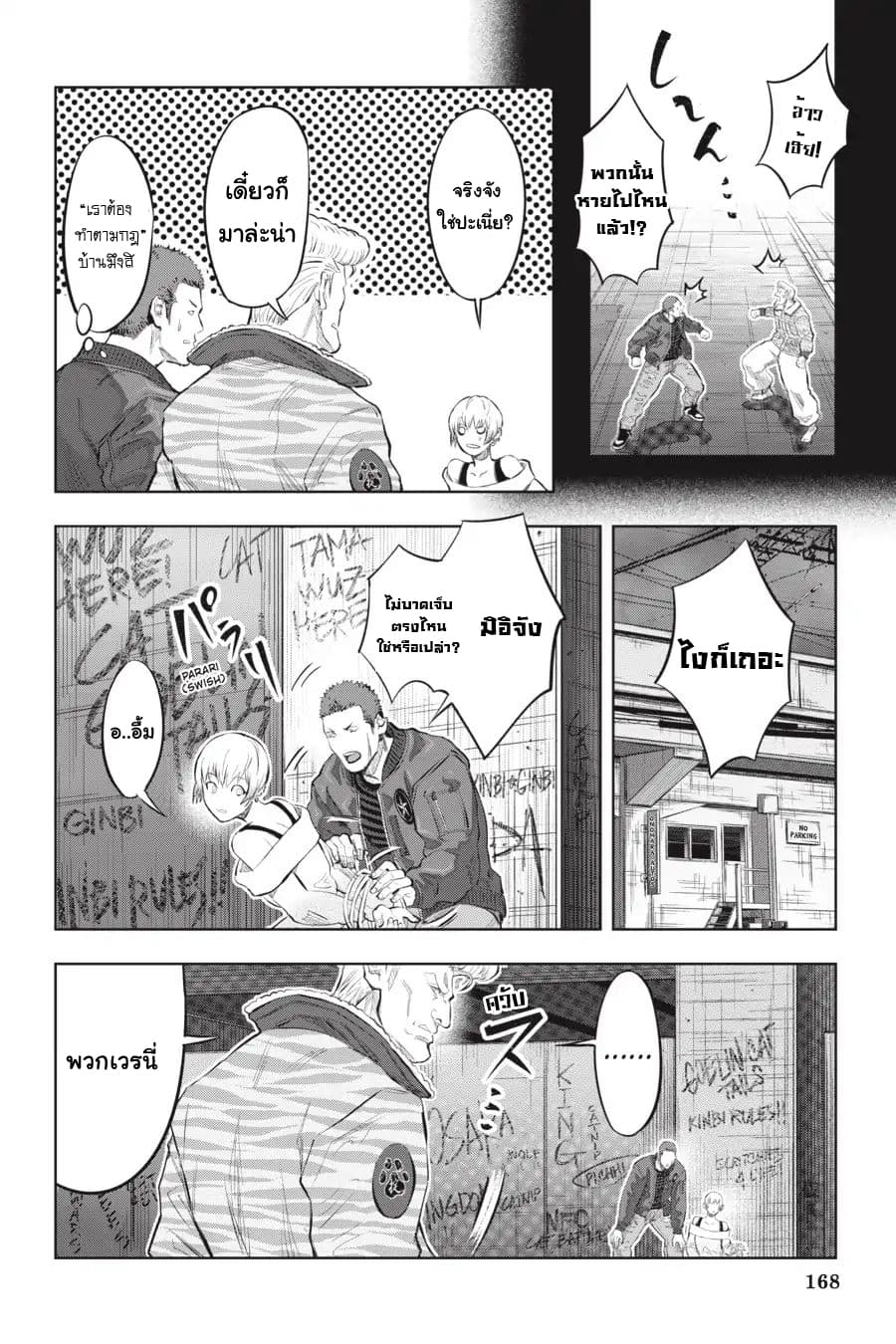 Nyankees 6-แมวสามสี
