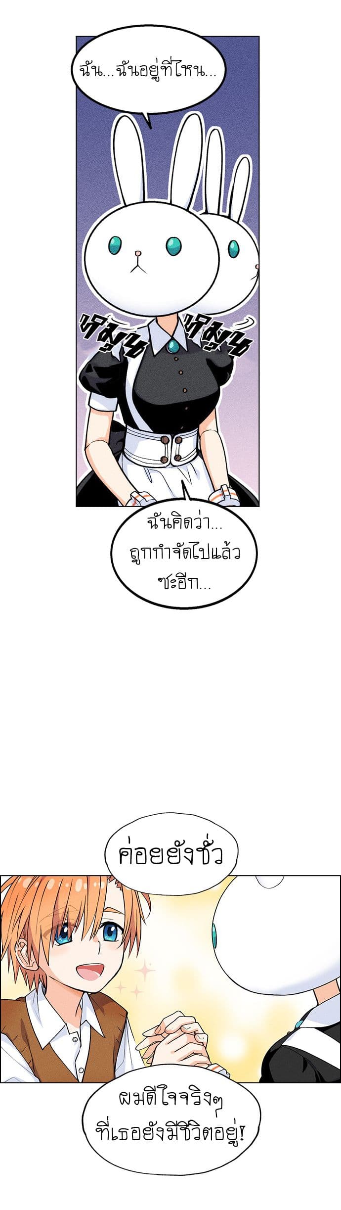 Housekeeper 1-1