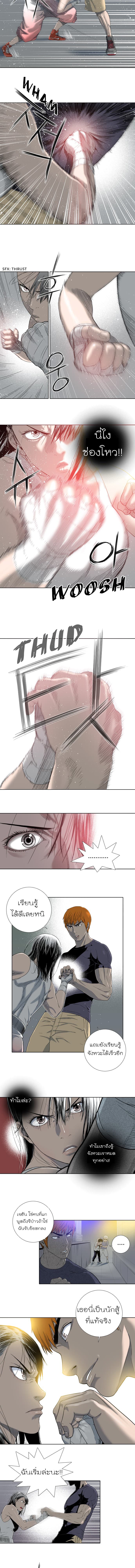 Knuckle Girl 6-6