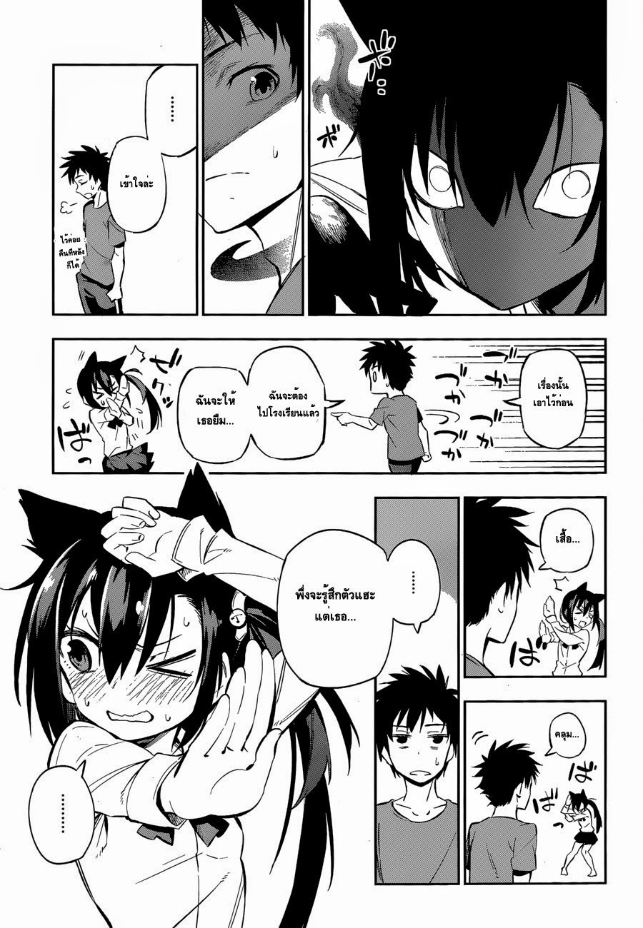 Urami Koi, Koi, Urami Koi 0-One Shot