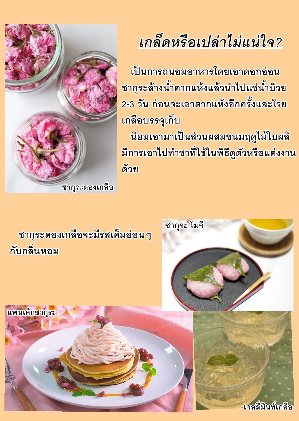 Kimi ga Shinanai Hi no Gohan มื้ออาหารนั้น ในวันที่เธอยังอยู่ 1-1
