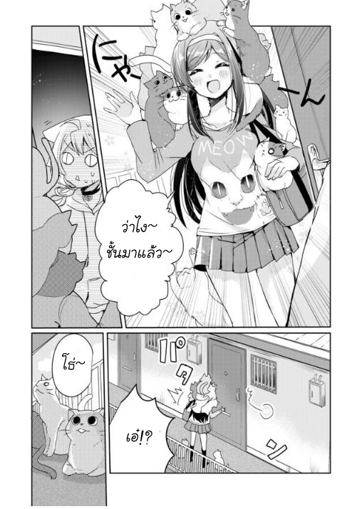 Nekomusume Shoukougun 3-3