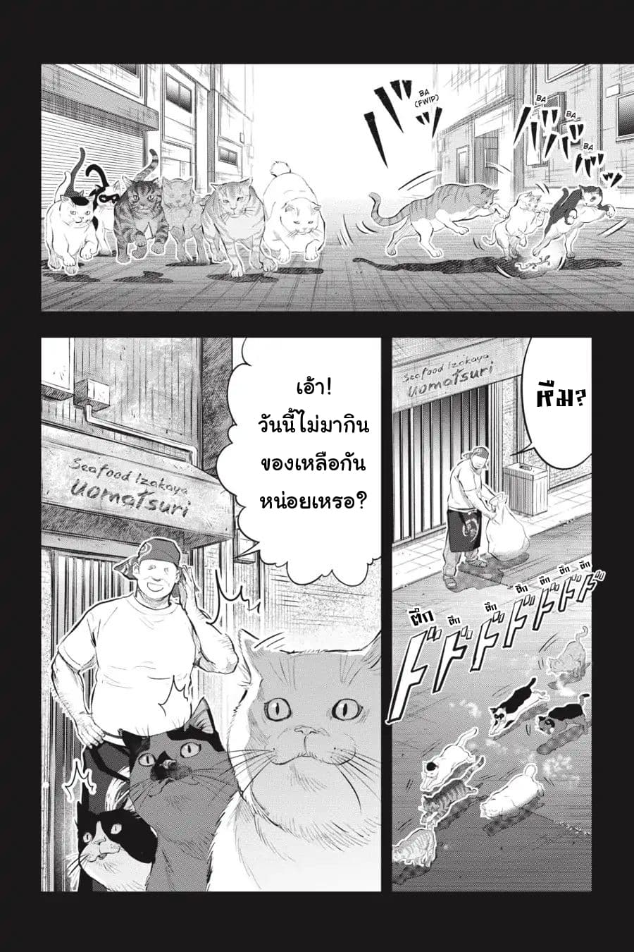 Nyankees 6-แมวสามสี