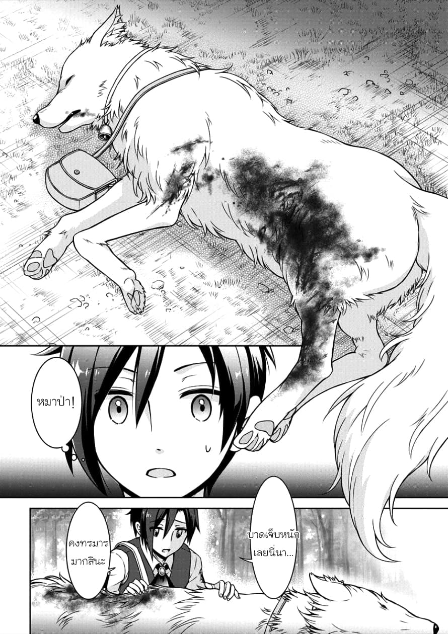 Cheat Kusushi no Slow Life: Isekai ni Tsukurou Drugstore 1-โนเอร่า