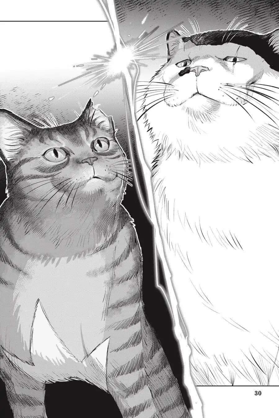 Nyankees 7-หญิงแกร่ง