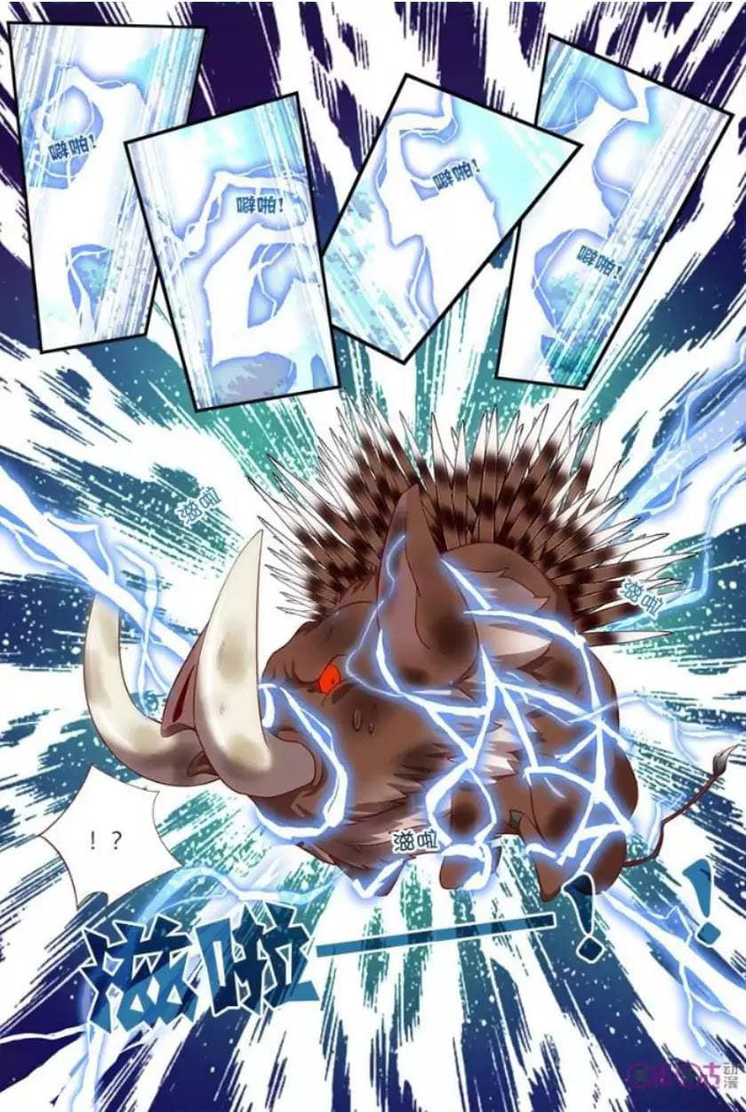 Martial God's Space 8-8