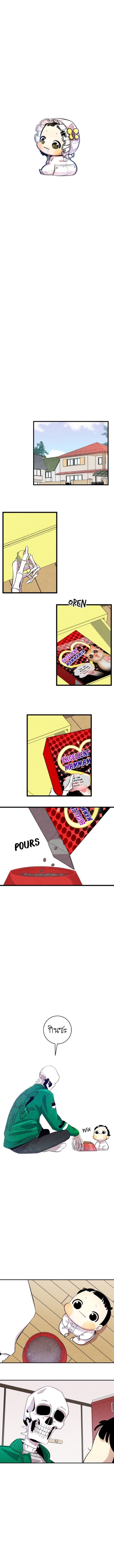 Metamorphosis 4-4