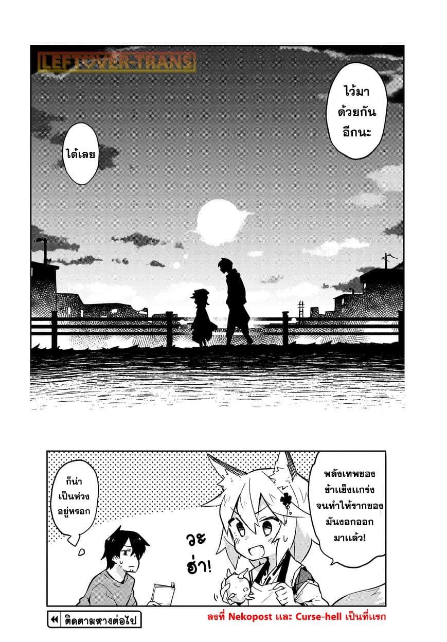 Sewayaki Kitsune no Senko-san เซ็นโกะซังเทพจิ้งจอกจอมป่วน 4-หางที่สี่! ที่ที่เรียกว่าซุปเปอร์มาเก็ต!