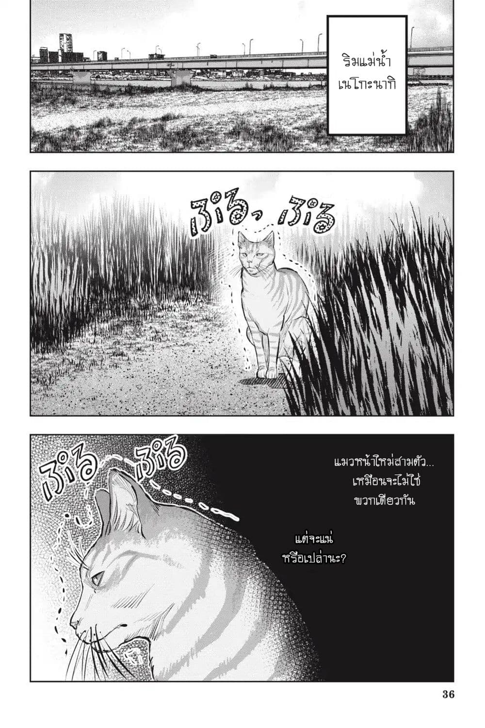 Nyankees 12-พร้อยลุย!