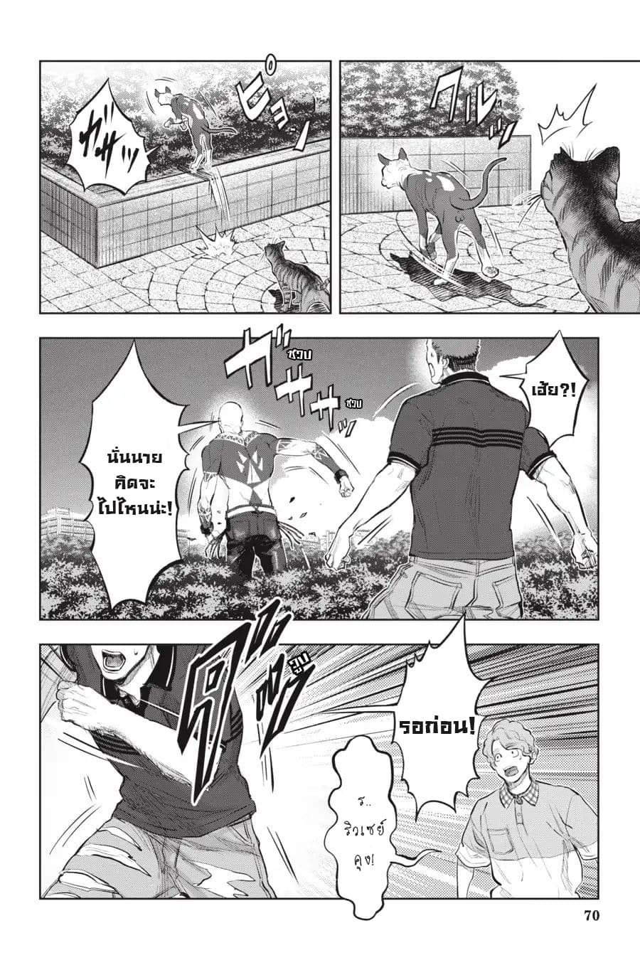 Nyankees 13-อ้วกก้อนขน