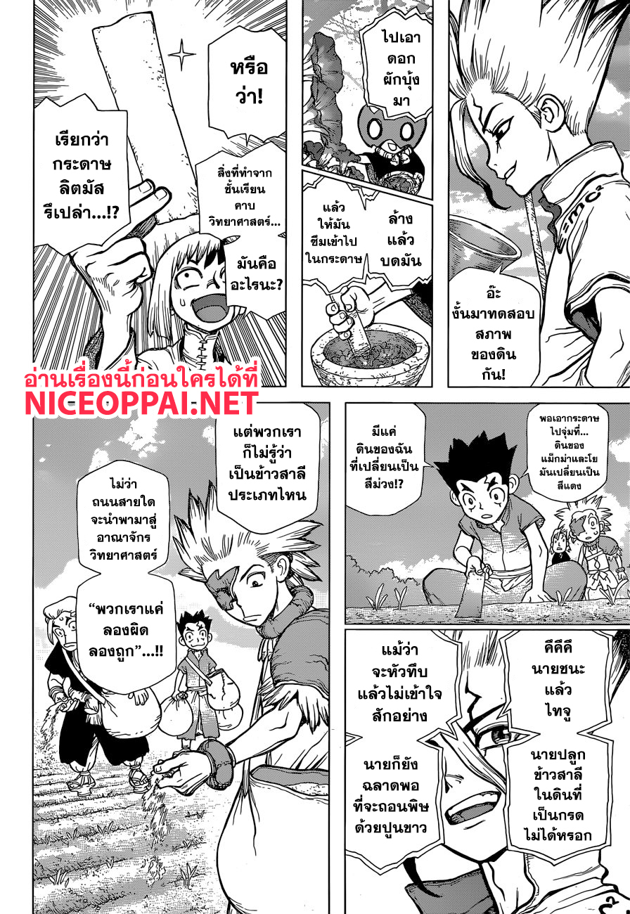 Dr.Stone 91-ถ้าไร้ซึ่งขนมปัง งั้นก็ทำมันจากข้าวสาลี