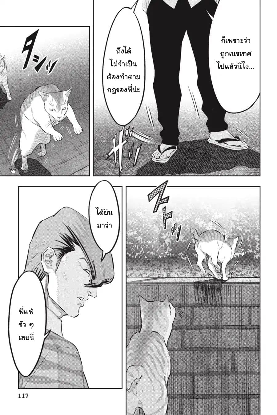 Nyankees 15-แมวสองพี่น้อง