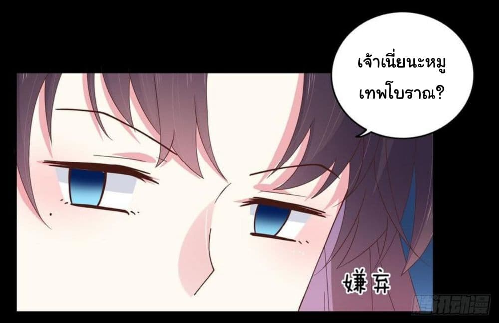 Pupillary Master 5-5