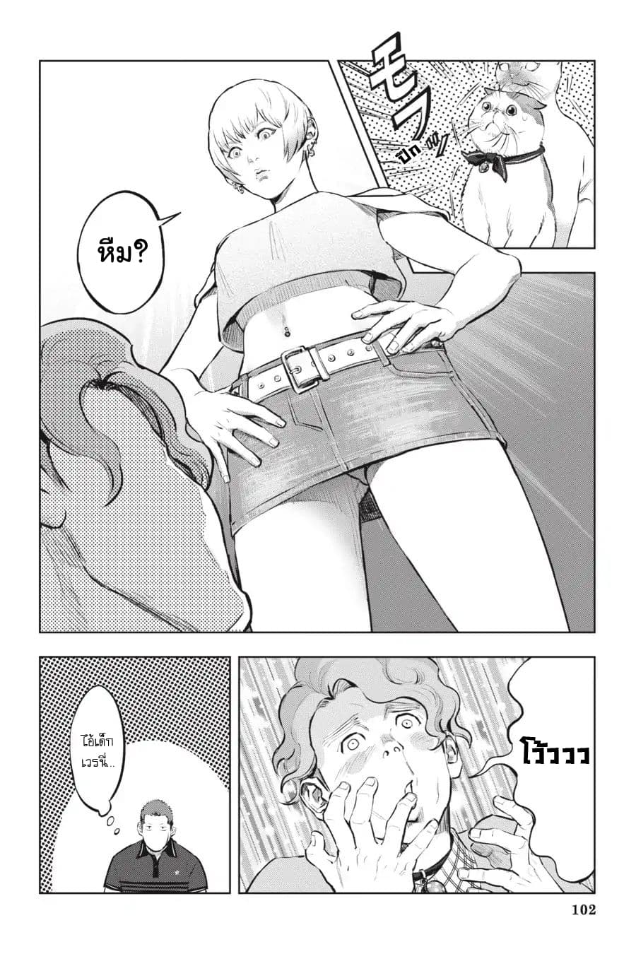 Nyankees 10-ลูกแมวหลงทาง