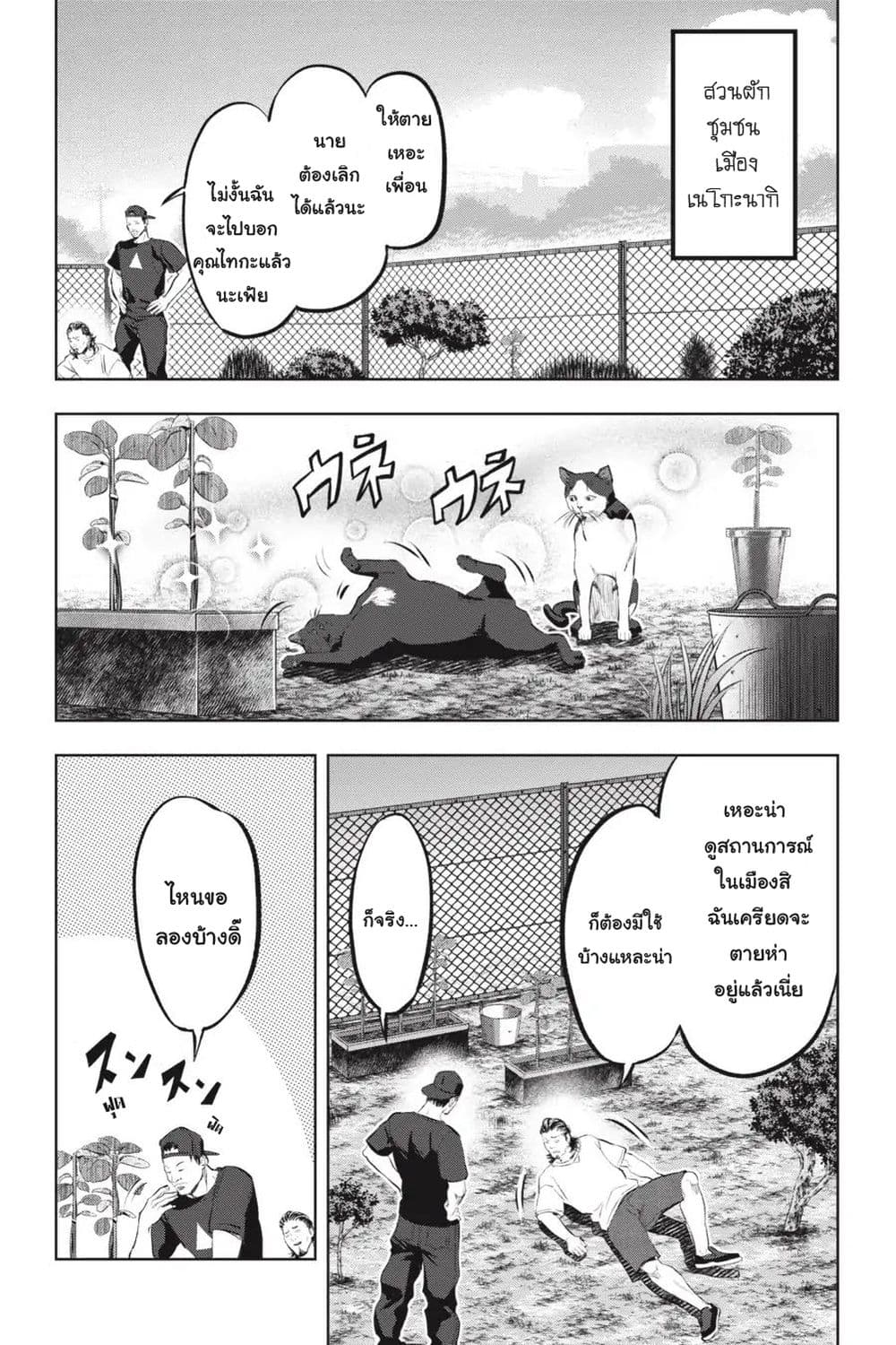 Nyankees 12-พร้อยลุย!