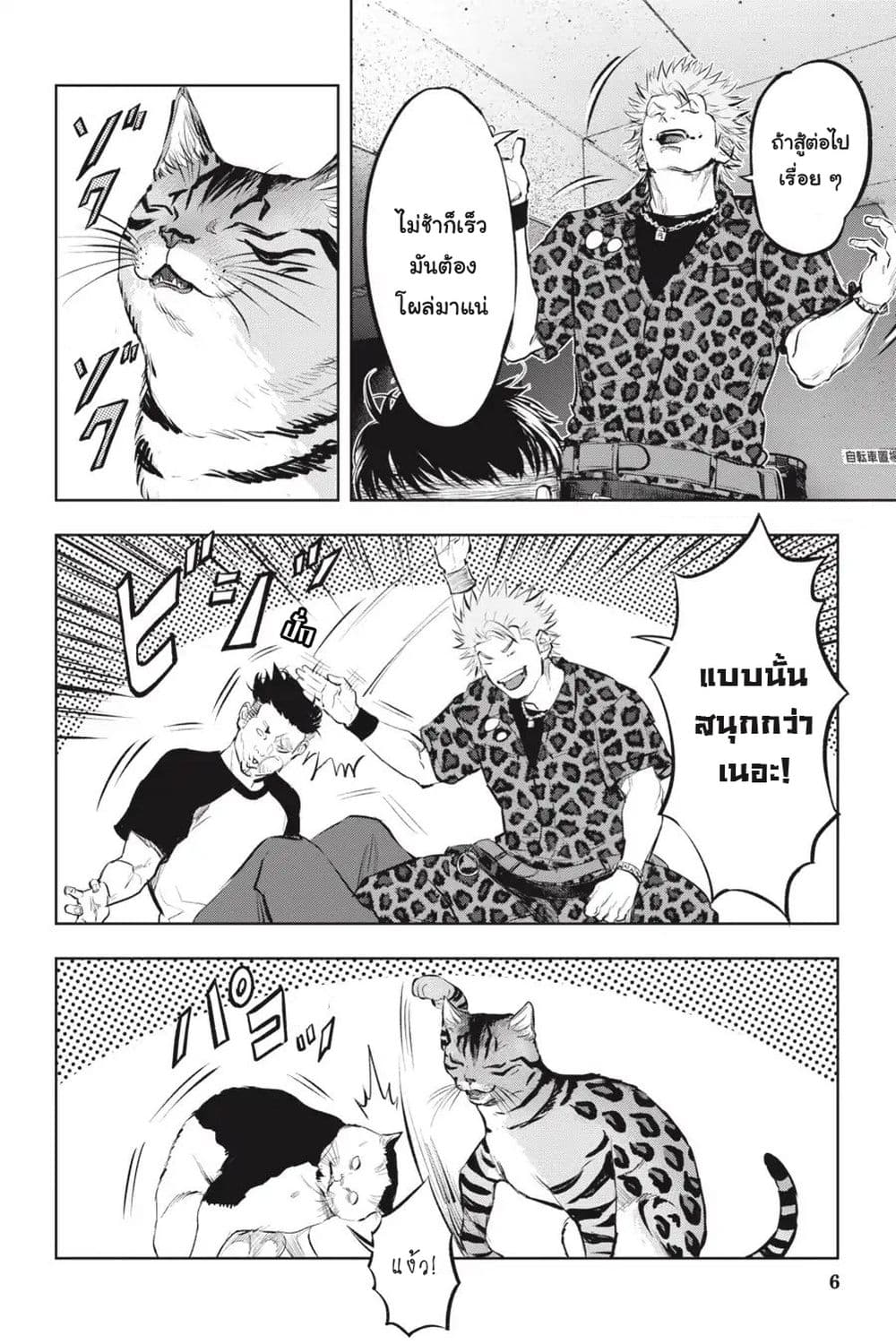 Nyankees 12-พร้อยลุย!