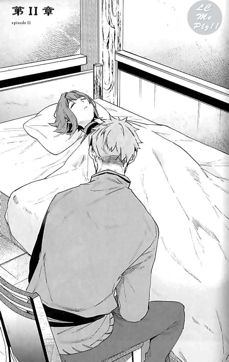 Ikinokori Renkinjutsushi wa Machi de Shizuka ni Kurashitai 11-11