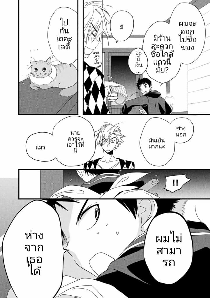 Junkissa Neko 3-3