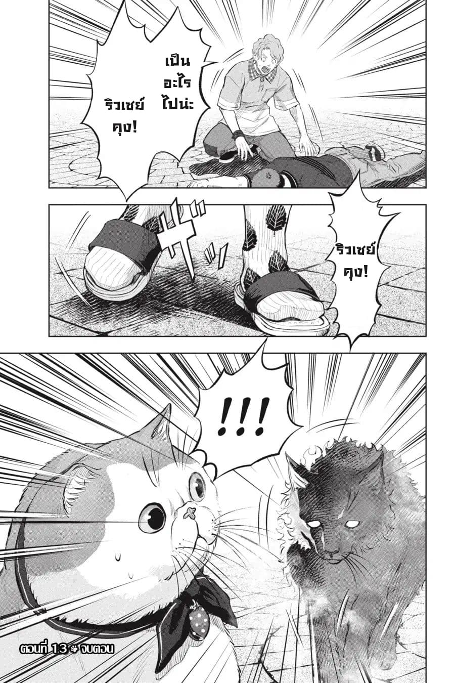 Nyankees 13-อ้วกก้อนขน