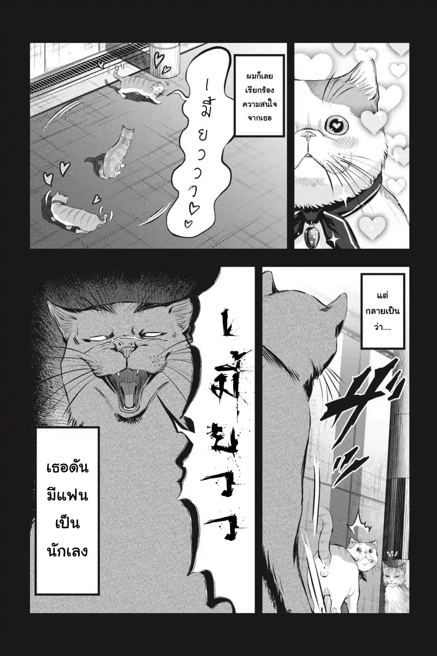 Nyankees 10-ลูกแมวหลงทาง