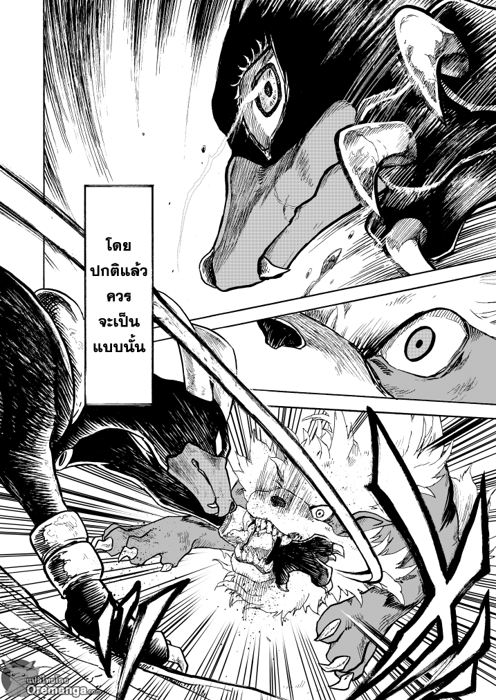 Pokemon Ouja no Saiten 10-การต่อสู้ของสัตว์ร้าย
