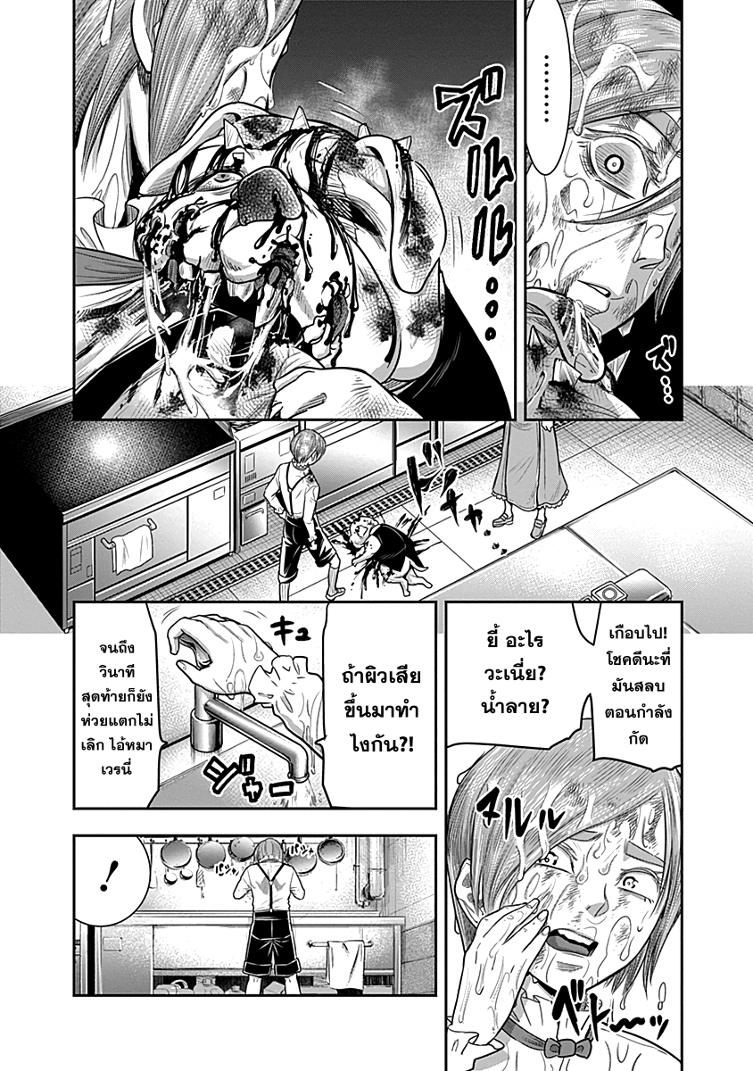 DINER 29-Sandra's Berry & Geisha MURCIÉLAGO (เบอร์รี่ของซานดรา & เกอิชา เมอร์ซีเอลาโก) (3)