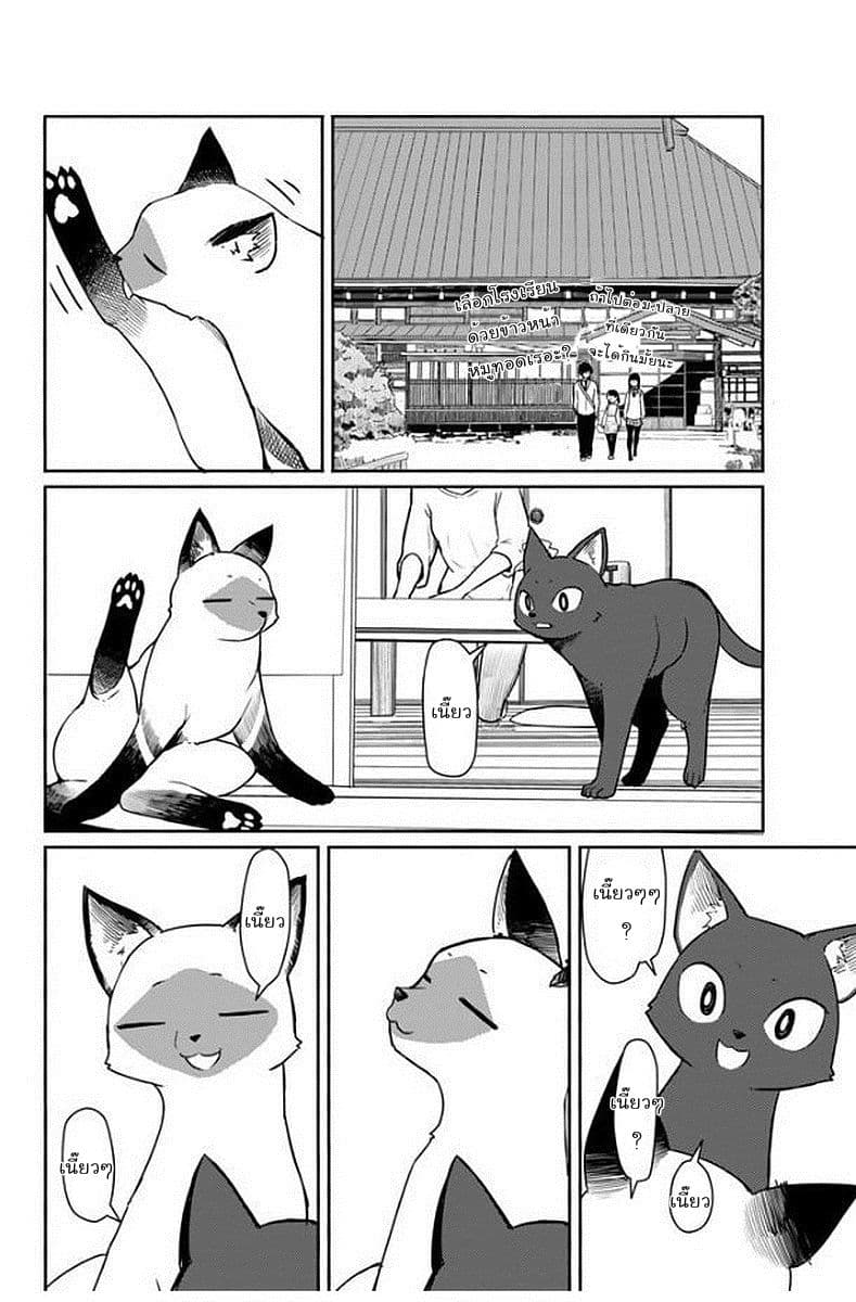 Flying Witch 33-ถึงแม้แมวจะมาก็จะหยุดพักหลังกินข้าวเที่ยง