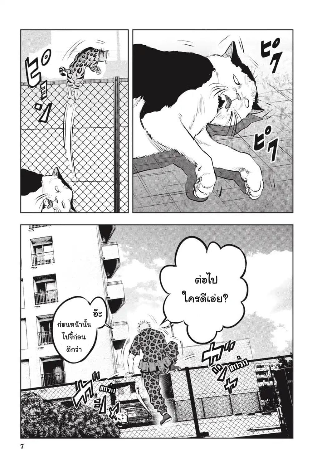 Nyankees 12-พร้อยลุย!