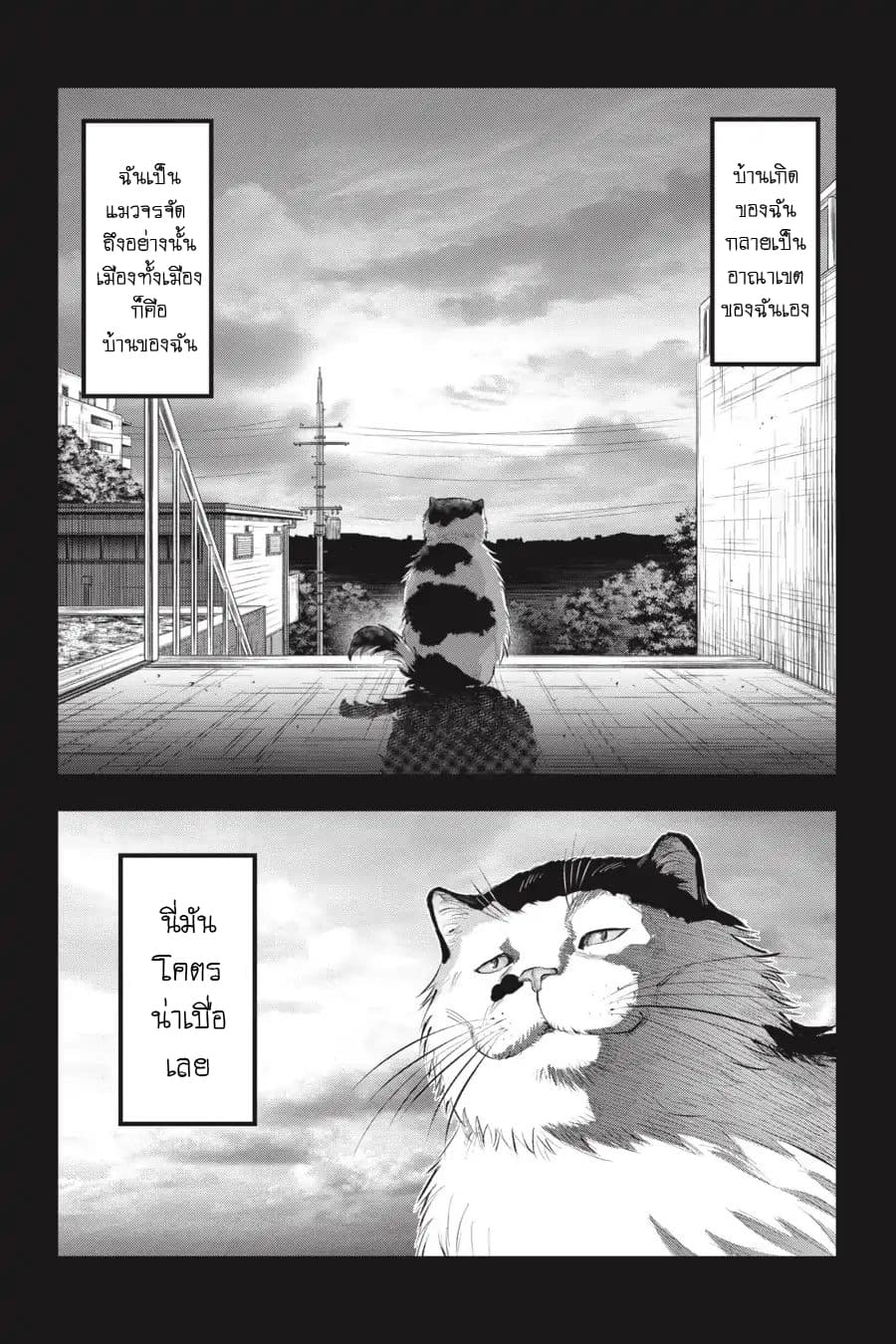 Nyankees 7-หญิงแกร่ง