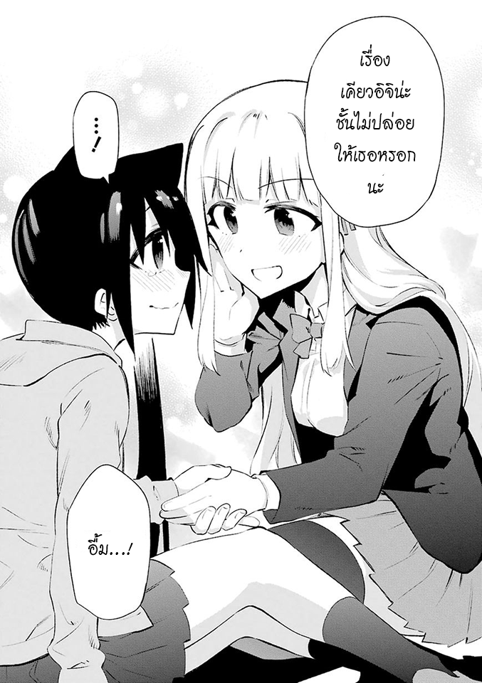 Urami Koi, Koi, Urami Koi 24-การประลองระหว่างวัวและแมว