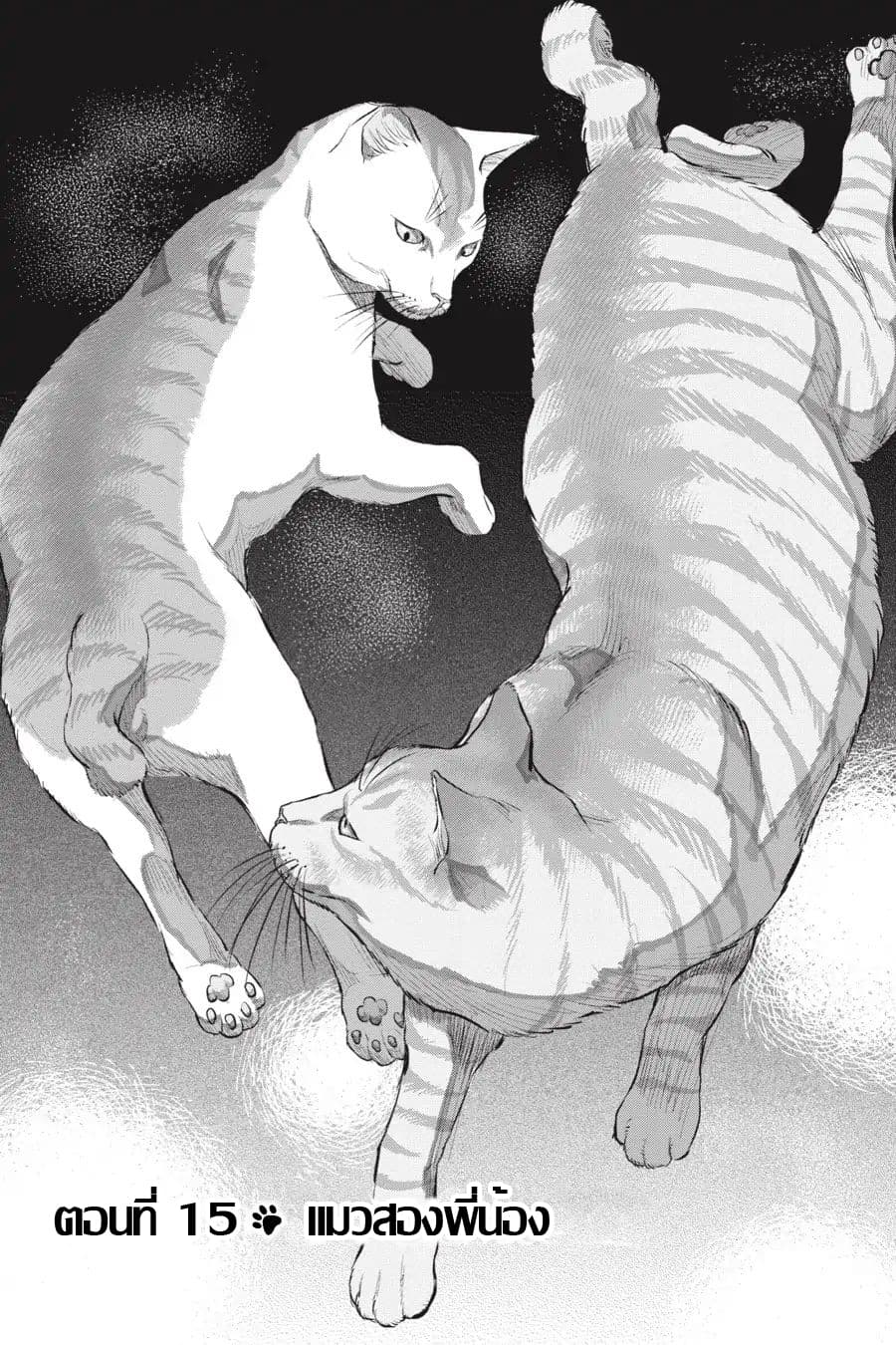 Nyankees 15-แมวสองพี่น้อง