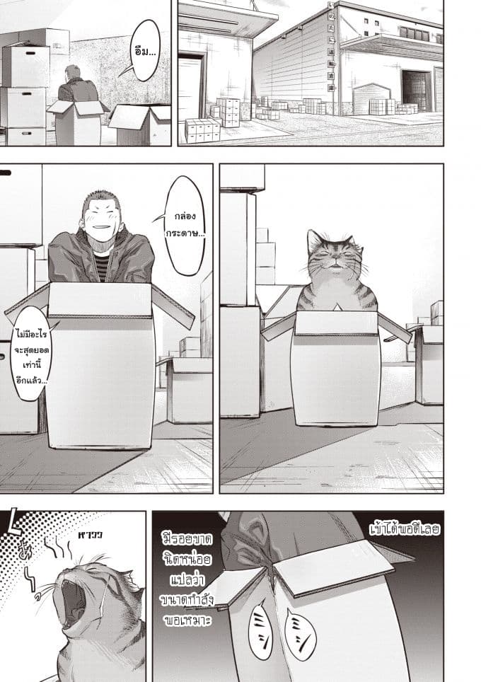 Nyankees 2-บอสแห่งเมืองเนโกะนากิ