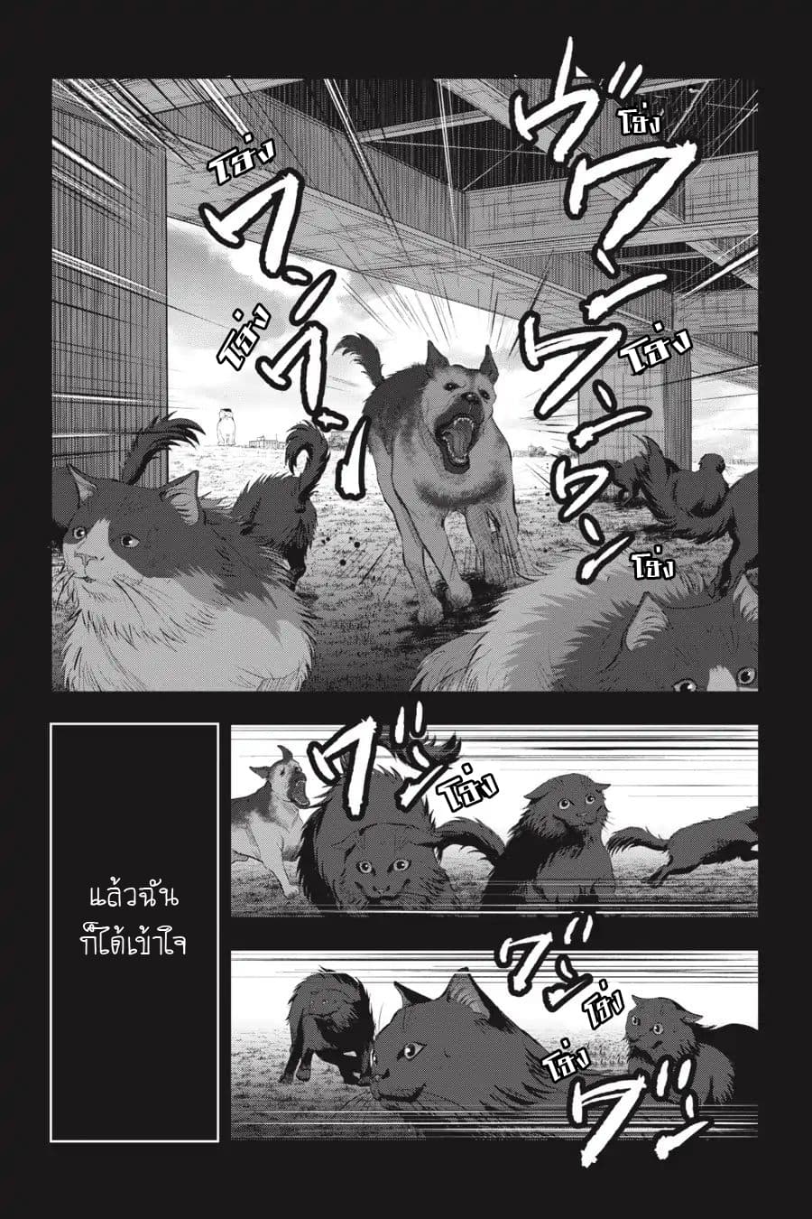 Nyankees 7-หญิงแกร่ง