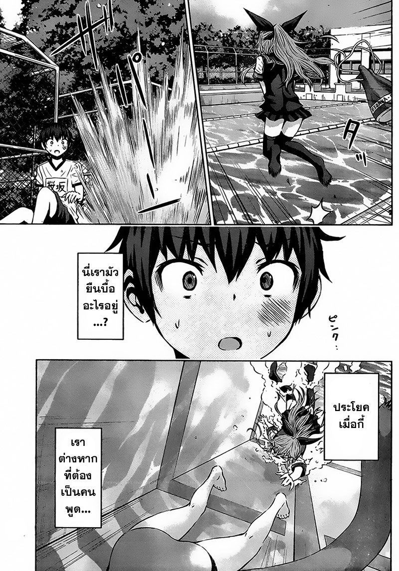 Chikotan, Kowareru 6-บอกสิโอซากะ! จิโกะที่ไม่ตาย กับเนโกะยาชิกิที่ตายเหมือนคนอื่นๆ
