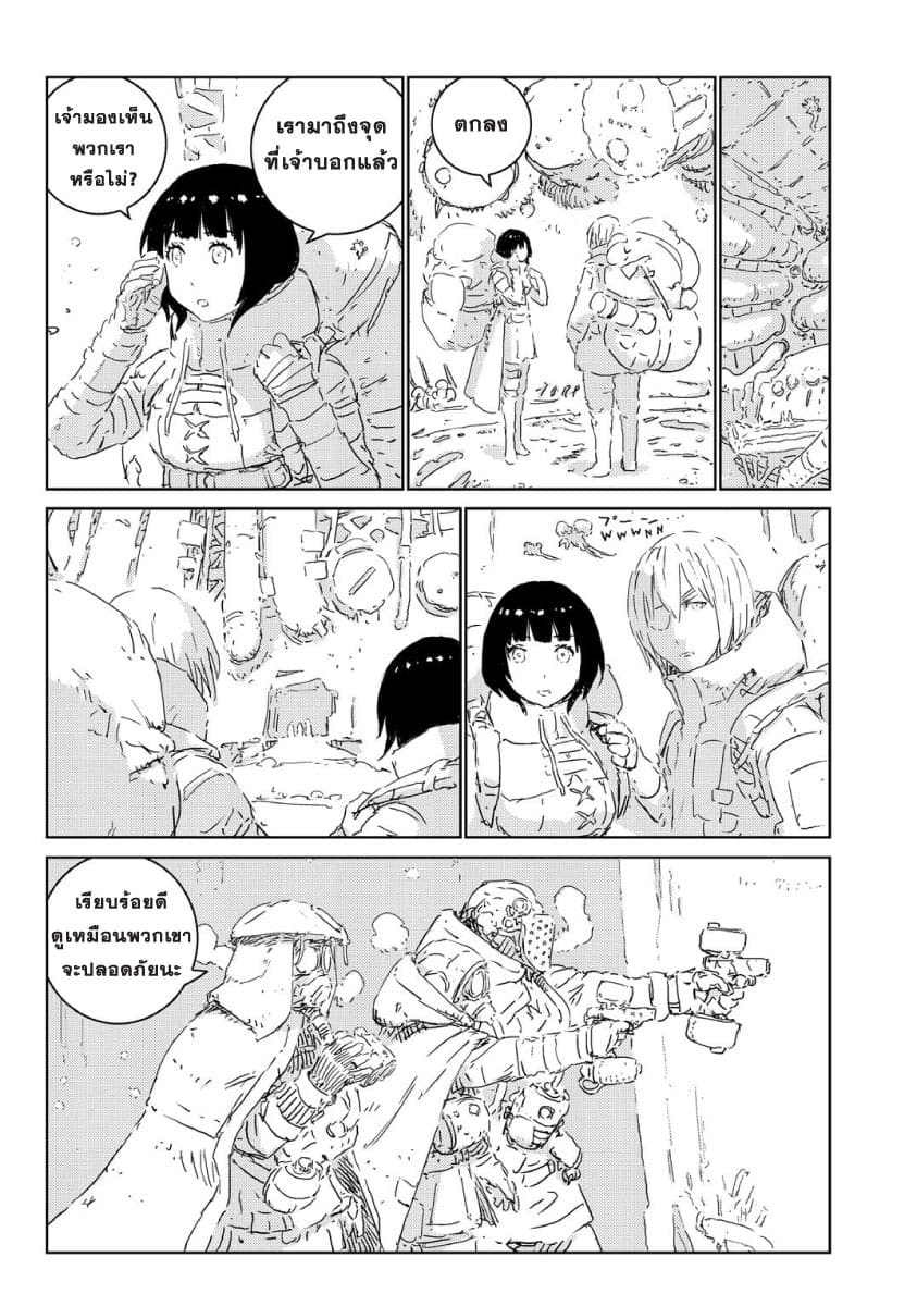 APOSIMZ 11-11