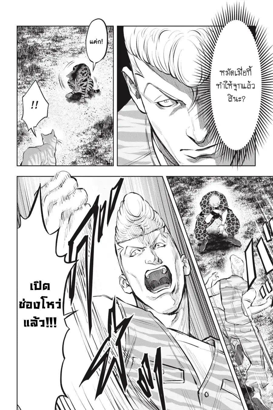 Nyankees 13-อ้วกก้อนขน