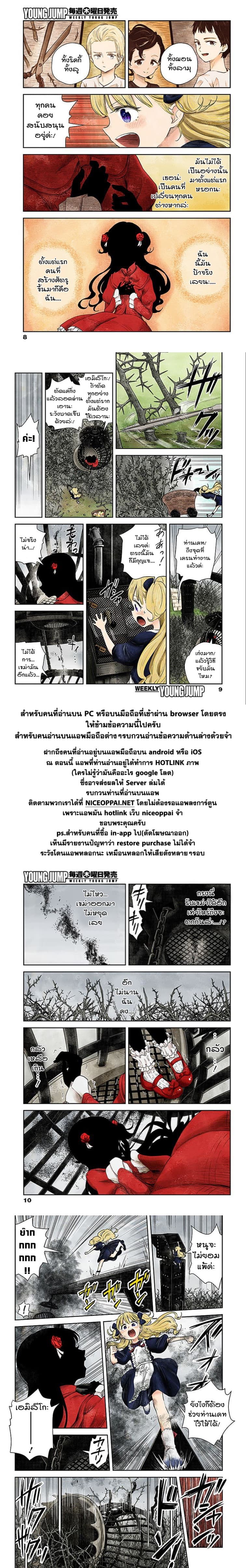 Shadows House 41-กรงนกกับดอกไม้