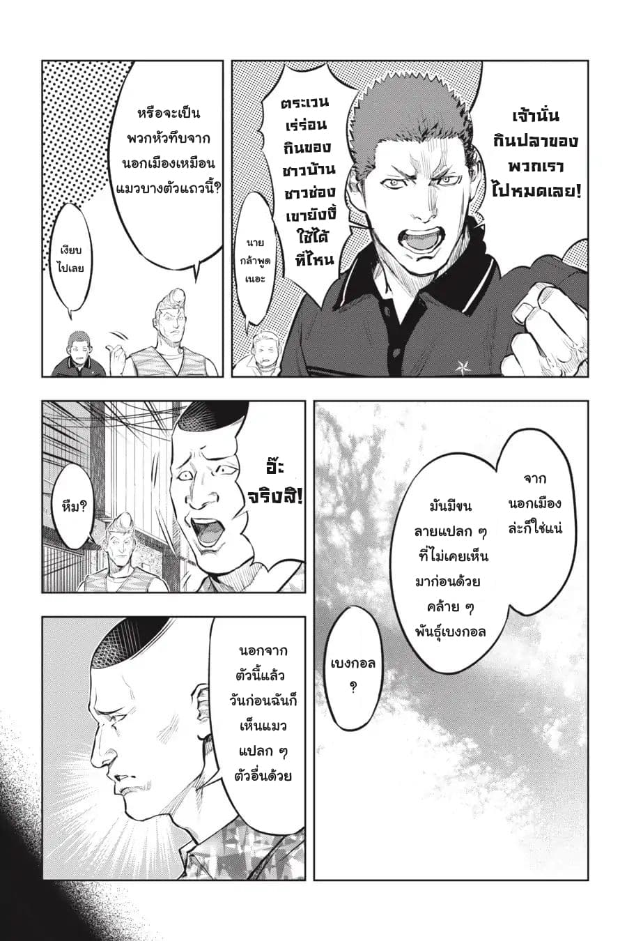 Nyankees 11-แมวน่าสงสัย