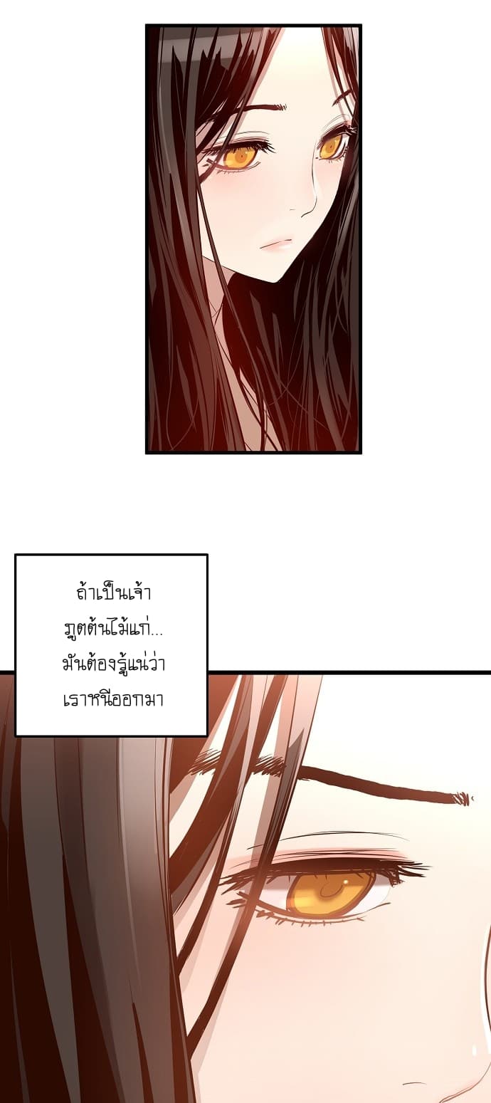 Promised Orchid สัญญาแดนกล้วยไม้ 7-7