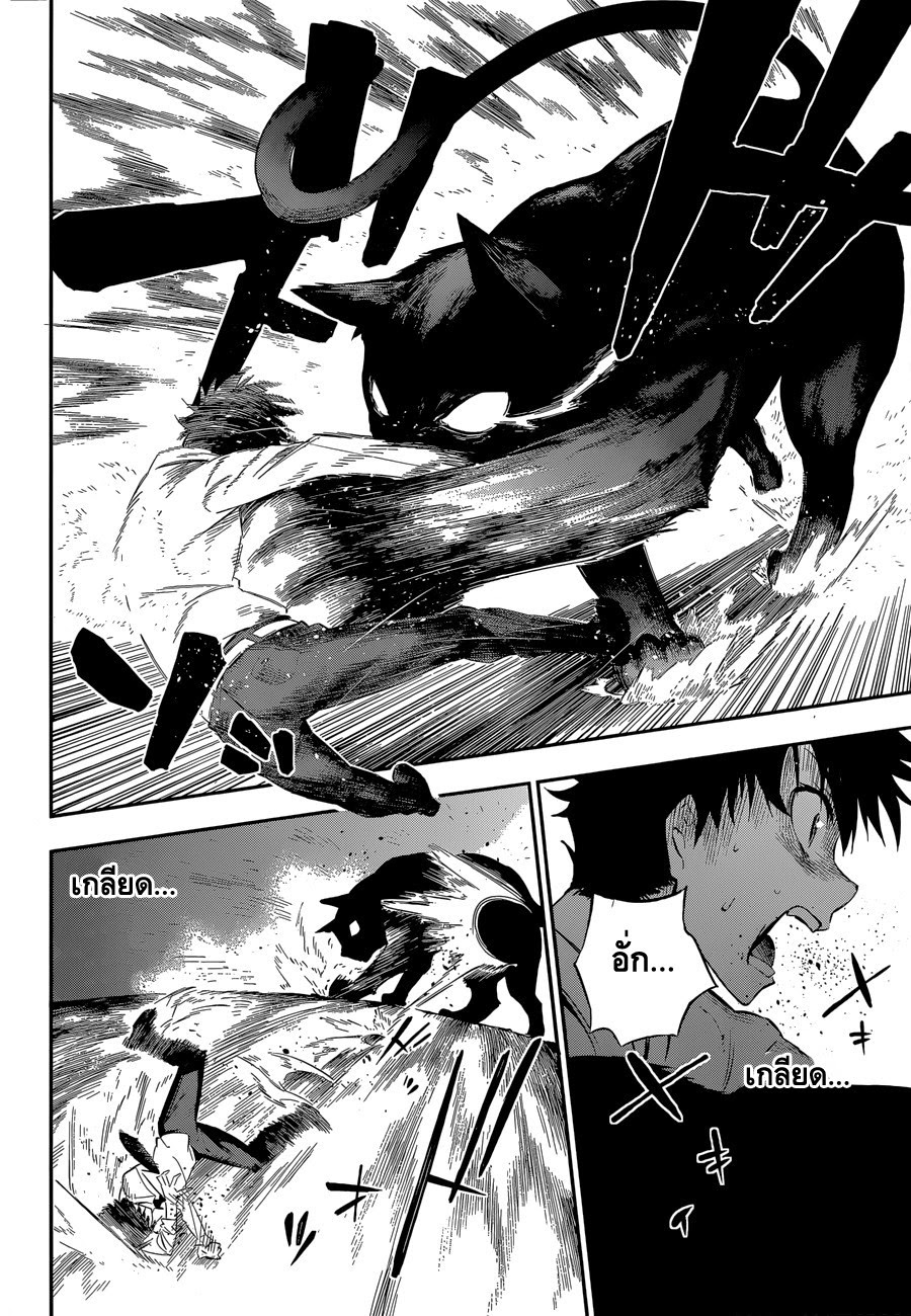Urami Koi, Koi, Urami Koi 0-One Shot