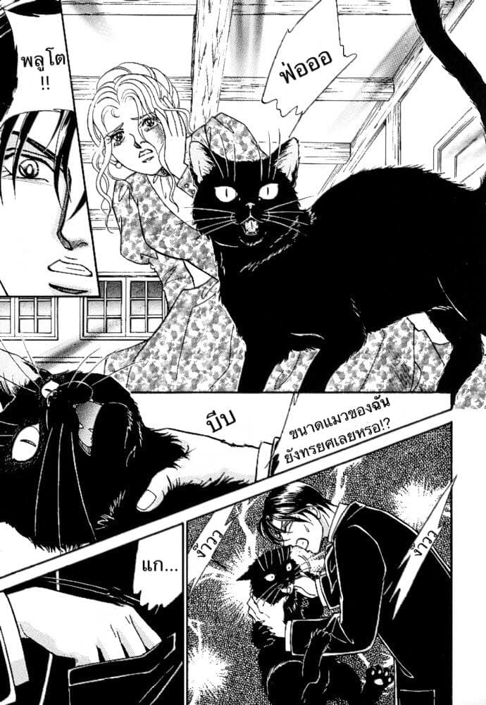 The Black Cat 1-1