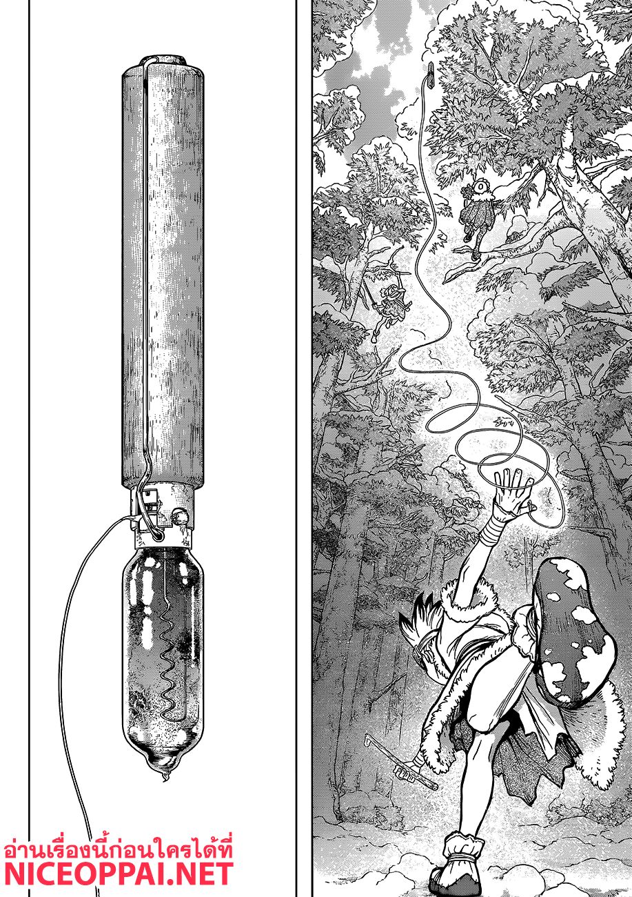 Dr.Stone 62-Double Chase