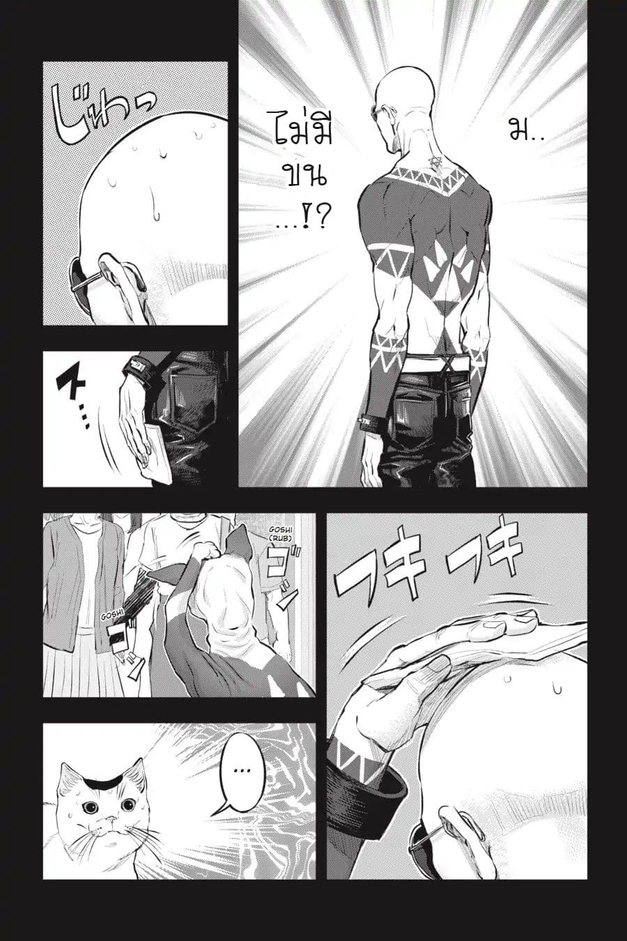 Nyankees 11-แมวน่าสงสัย
