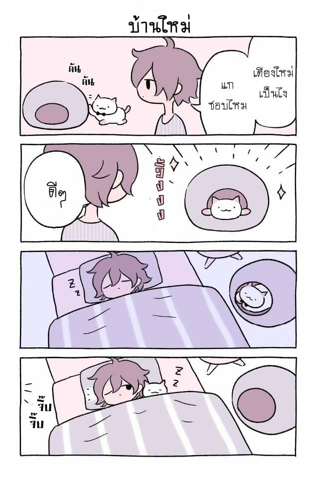 Wonder Cat Kyuu-chan คิวจัง แมวมหัศจรรย์ 3-3
