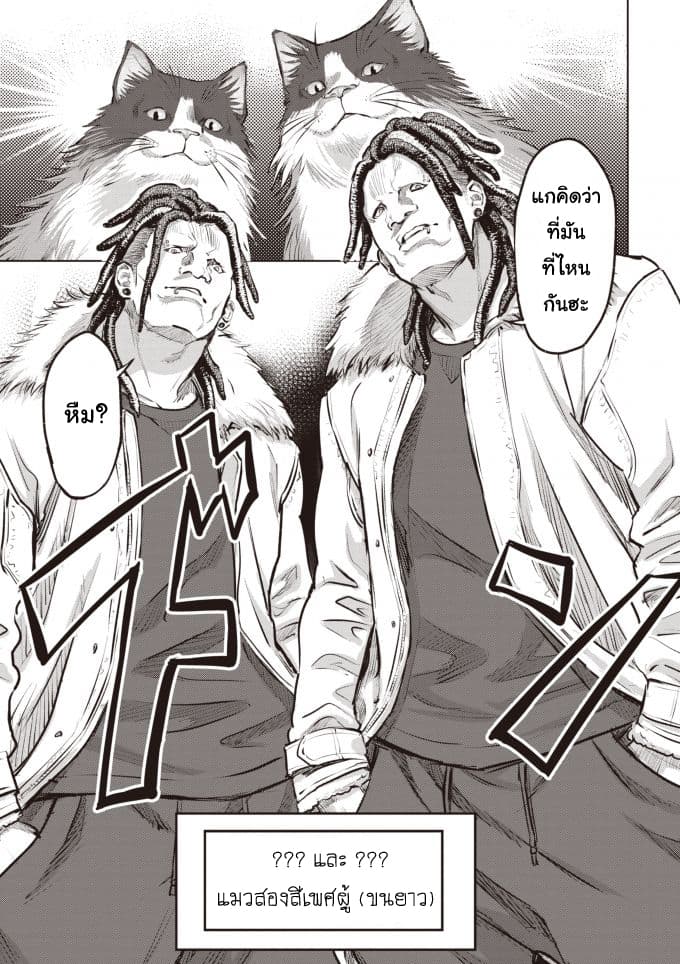 Nyankees 2-บอสแห่งเมืองเนโกะนากิ