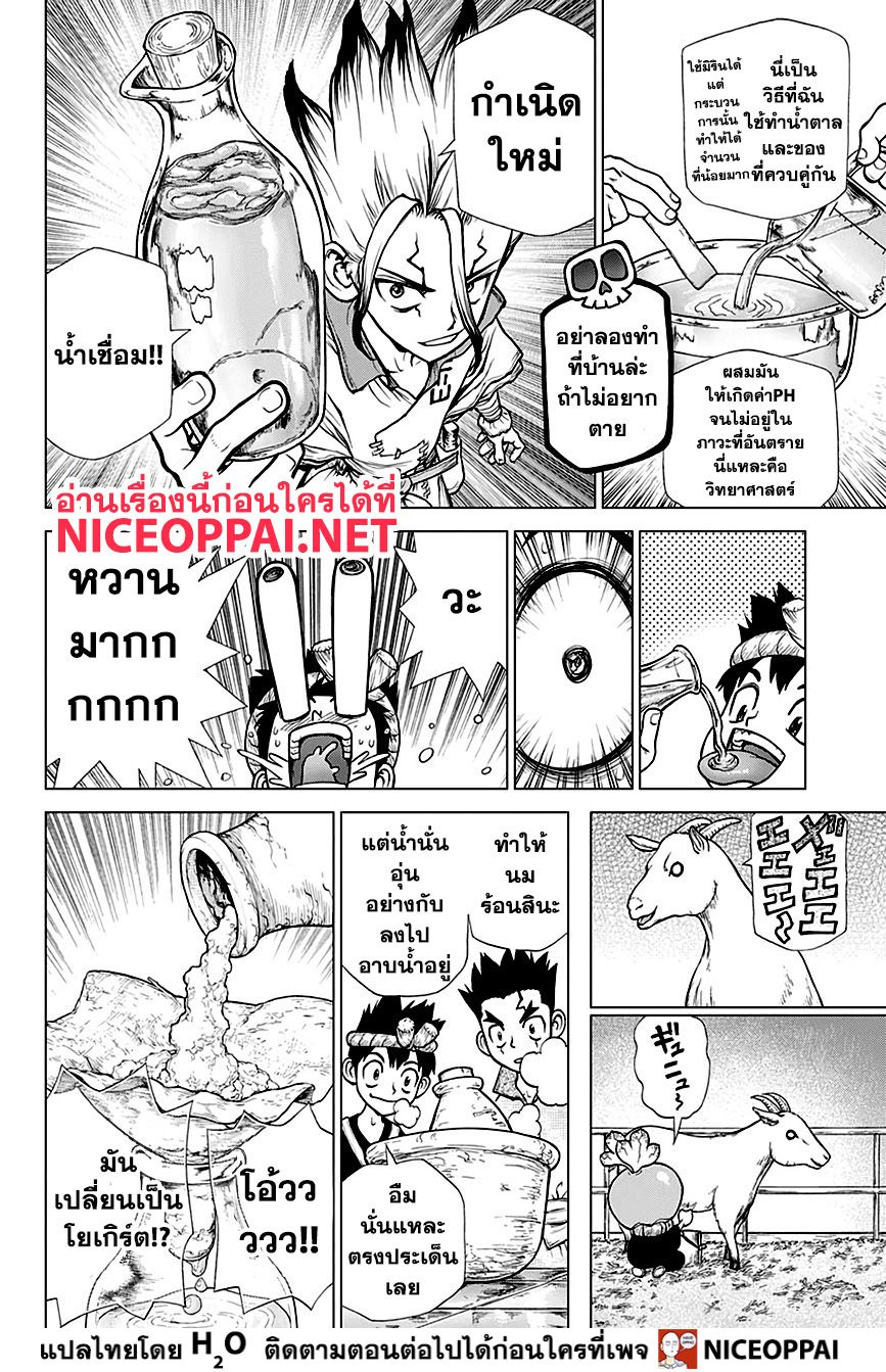 Dr.Stone 145-BAR FRANÇOIS