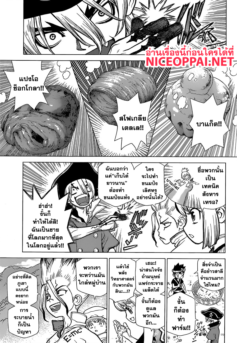 Dr.Stone 91-ถ้าไร้ซึ่งขนมปัง งั้นก็ทำมันจากข้าวสาลี