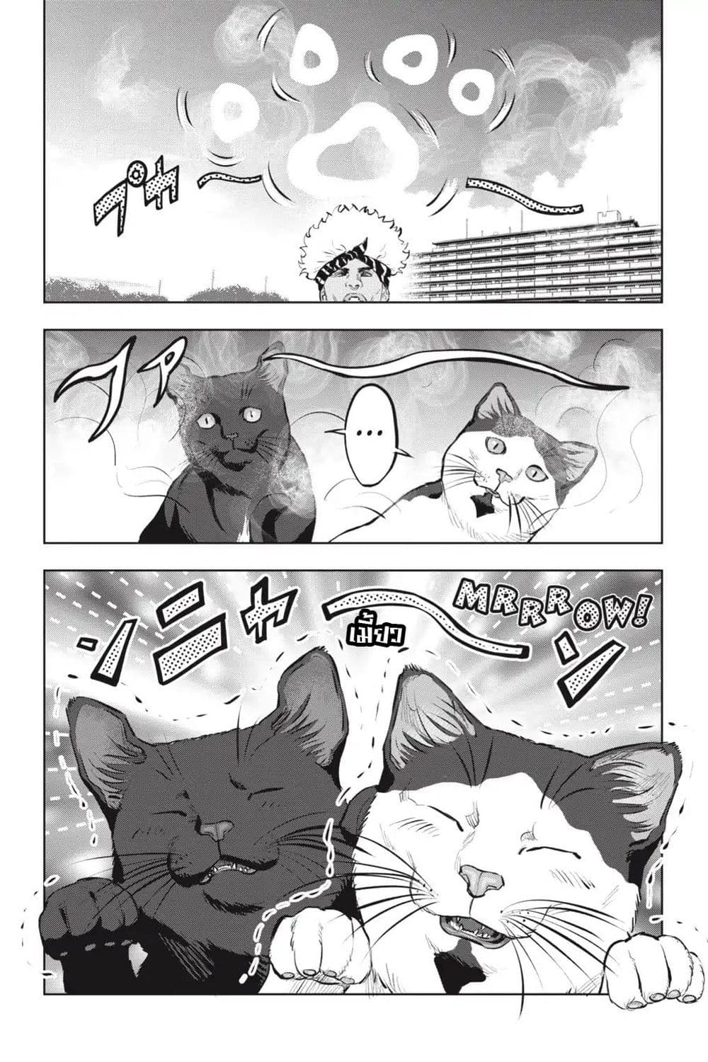 Nyankees 12-พร้อยลุย!