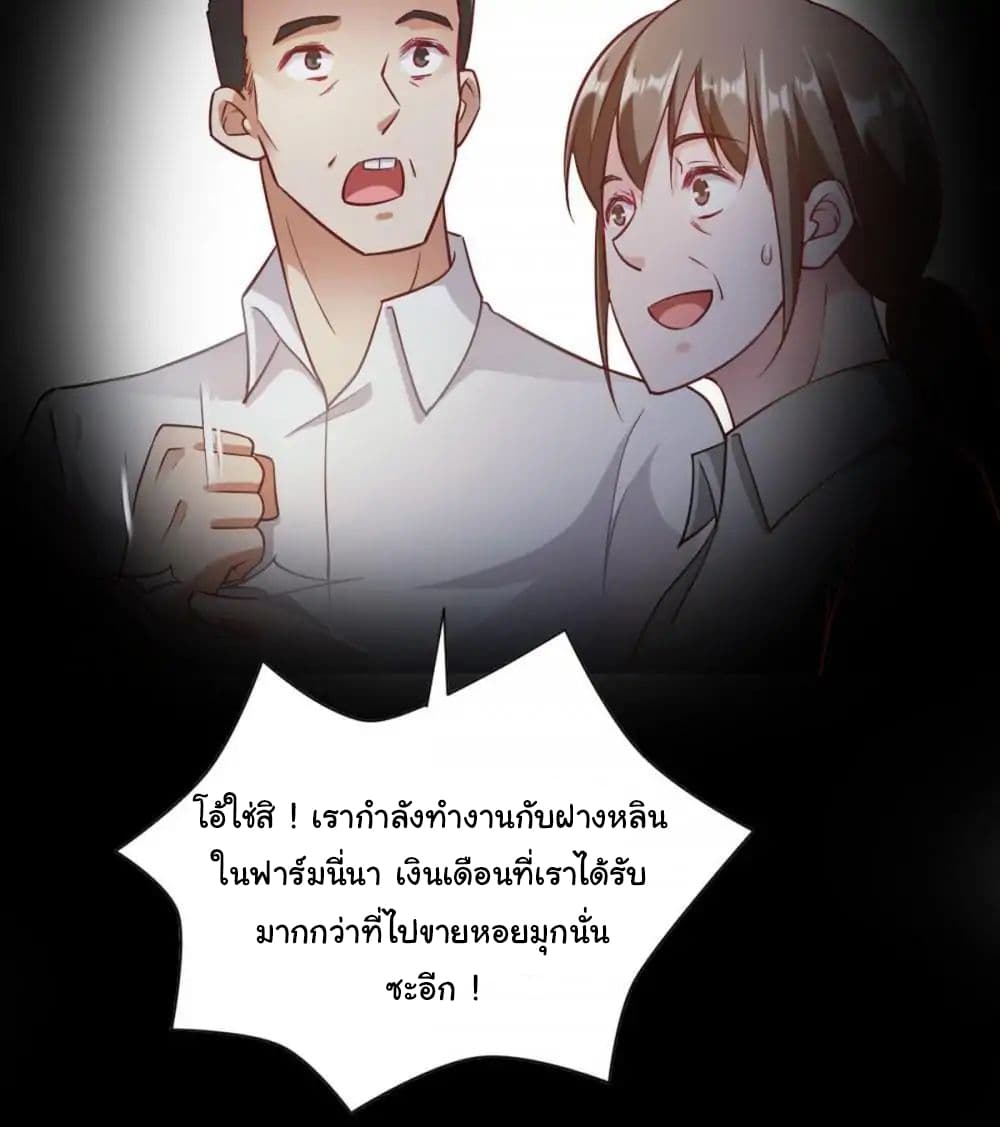 Almight Network 81-81